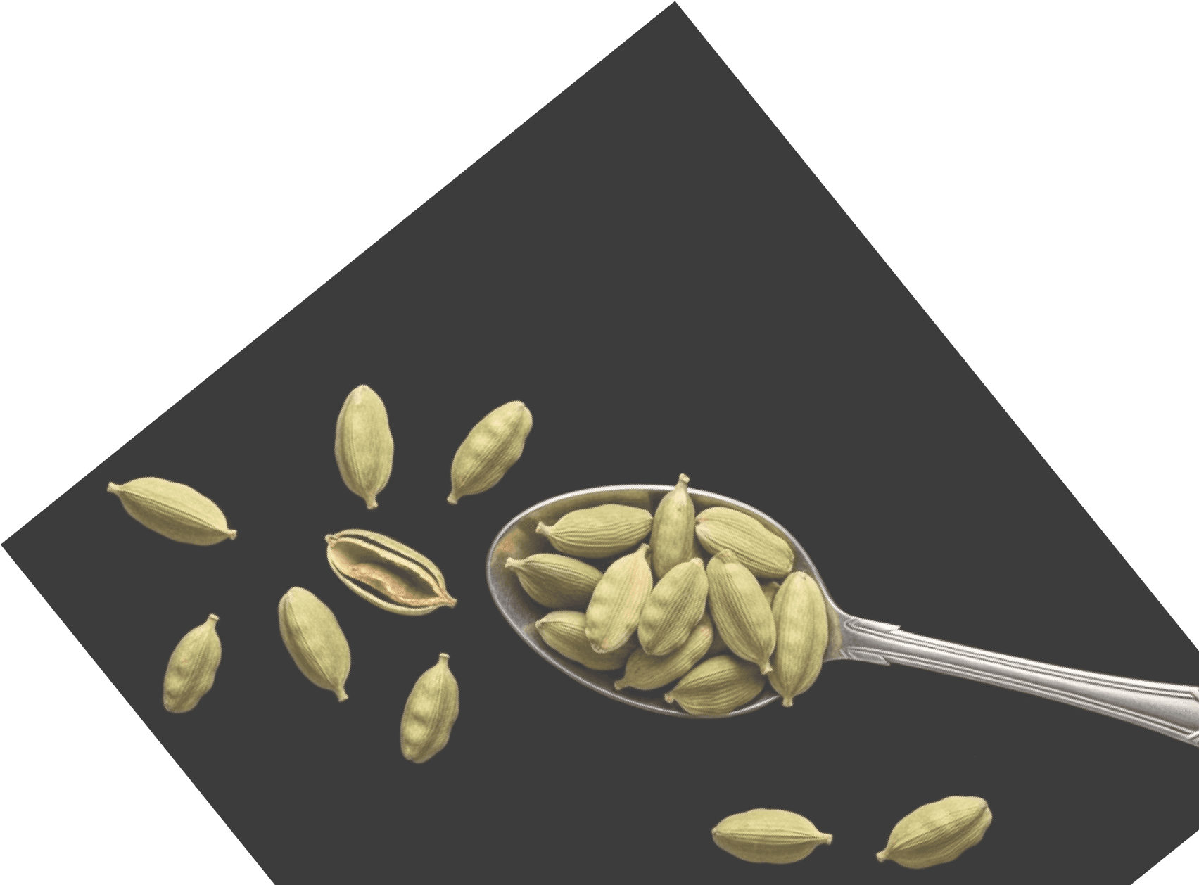Cardamom Spoon