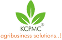 Software Development Company | 2Base Technologies