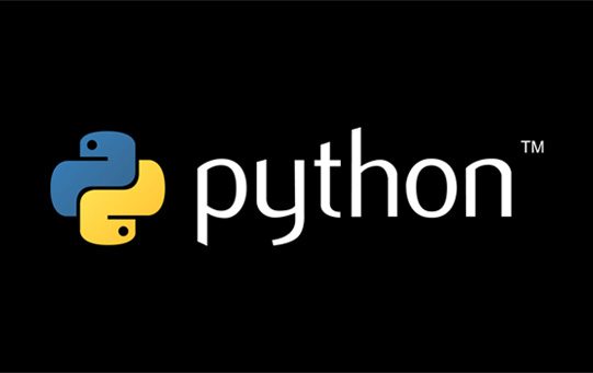 python web app development